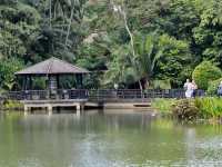 世界遺產新加坡植物園