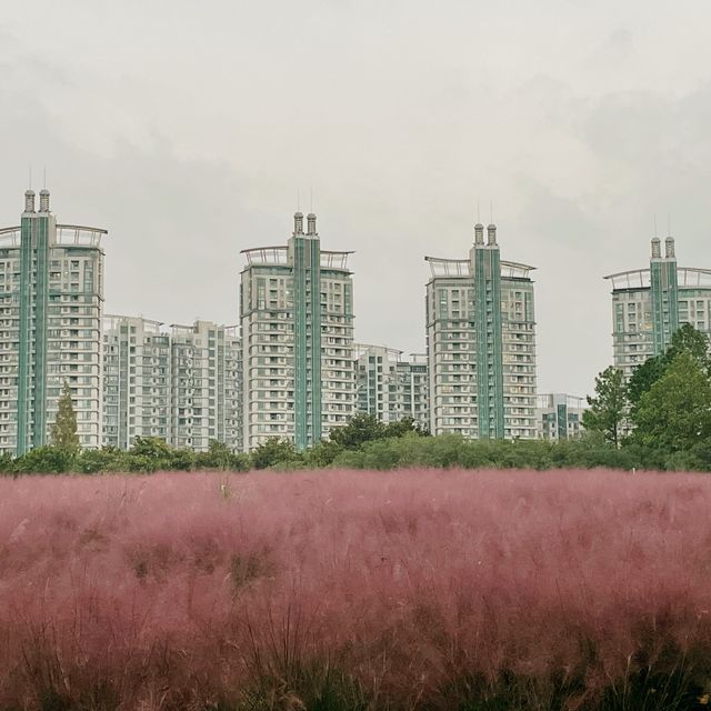 A can’t miss free park in Shanghai 🧡