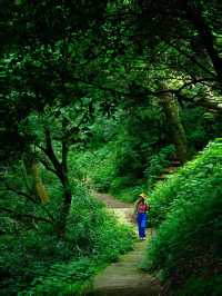 Chengdu 1H | Offbeat and Light Hiking 🌿 Super Cool and Easy on the Legs ‼️