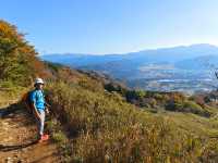 Japan free travel, hike up Mount Ibuki, autumn leaves and miscanthus are equally beautiful.