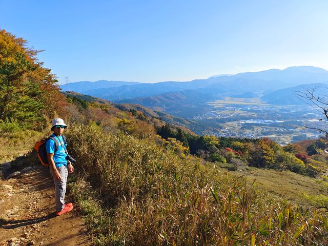 Japan free travel, hike up Mount Ibuki, autumn leaves and miscanthus are equally beautiful.