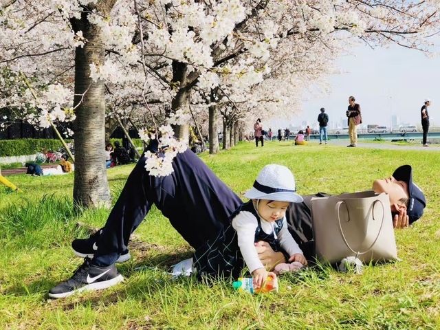 Cherry blossom season is coming again, I really want to go and see the Tamagawa River of the past.