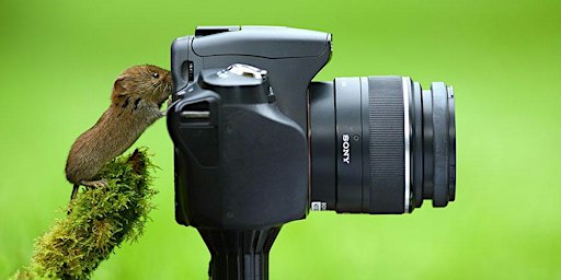 Photo Competition - Viewing and Results | Shipley Library
