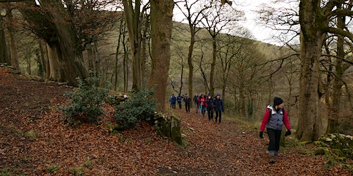Walk the Moorlands - No risk assessment required - 10.5 miles | Grin Low Country Park Toilets
