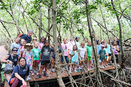 Back to Nature Day Camp (K-5th Grades) | Girl Scout Camp Welaka