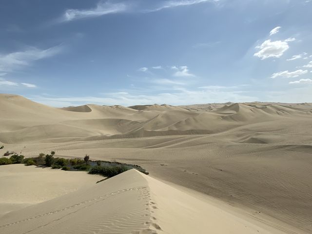 Huacachina, Oasis in Desert, Peru