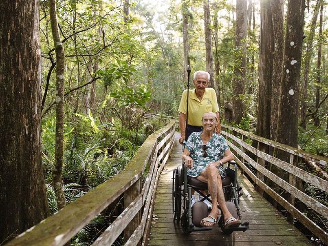 Audubon Corkscrew Swamp Sanctuary