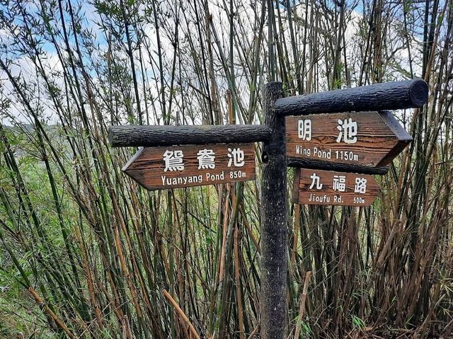 【新竹】新竹景點|低難度健行步道|觀南步道