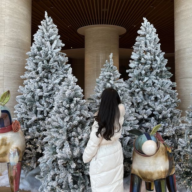 연말 가족 여행으로 추천하는 파라스파라 리조트 🎄💙