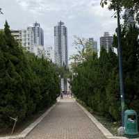 南昌公園🌱超大草坪區
