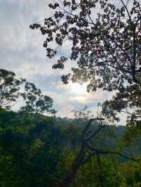 員林藤山步道｜彰化人的後花園，爬山健走的好地方！