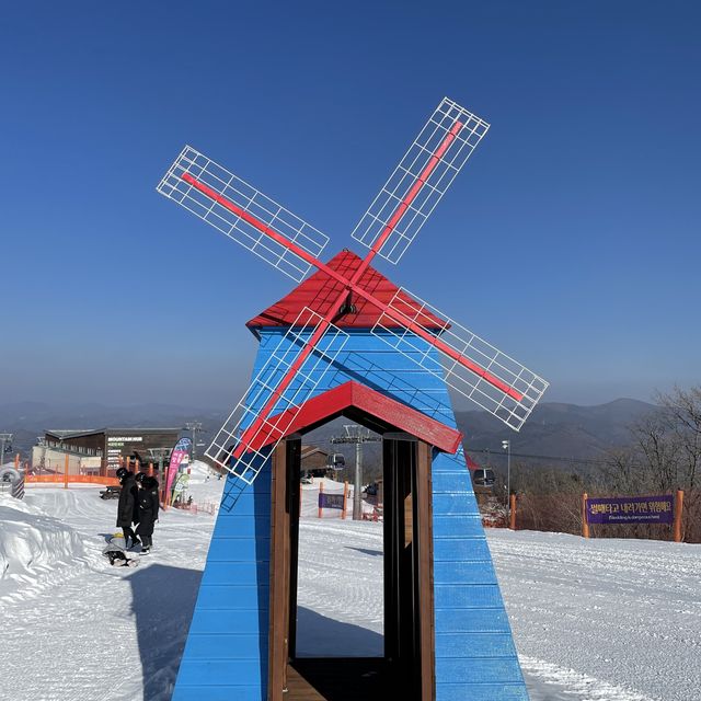 하이원에서 눈꽃보기!