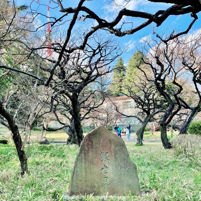 銀世界の梅林