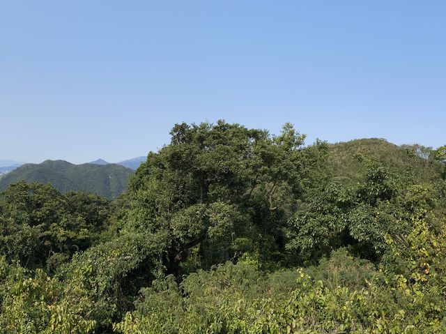 五星級難度⭐️鹿巢石林 