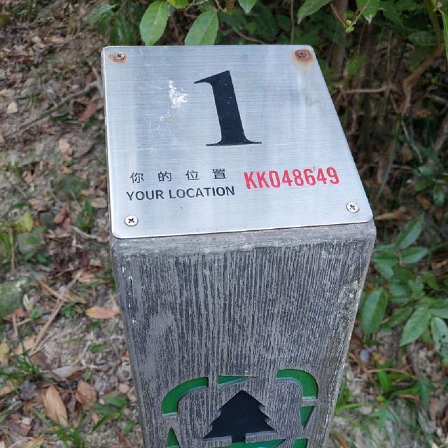 難得清淨-薄扶林水塘
