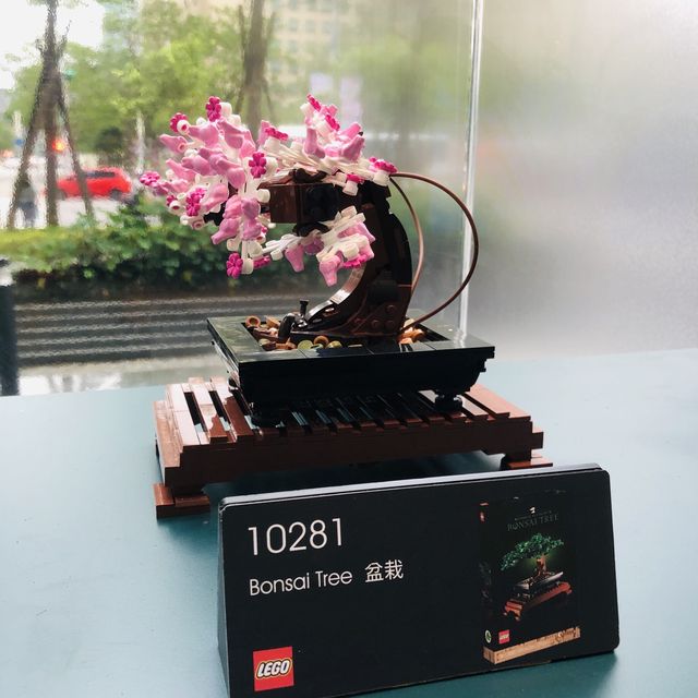 💐樂高植感溫室｜LEGO X CNFlower｜快閃活動，超逼真！大人小孩都會愛！😍
