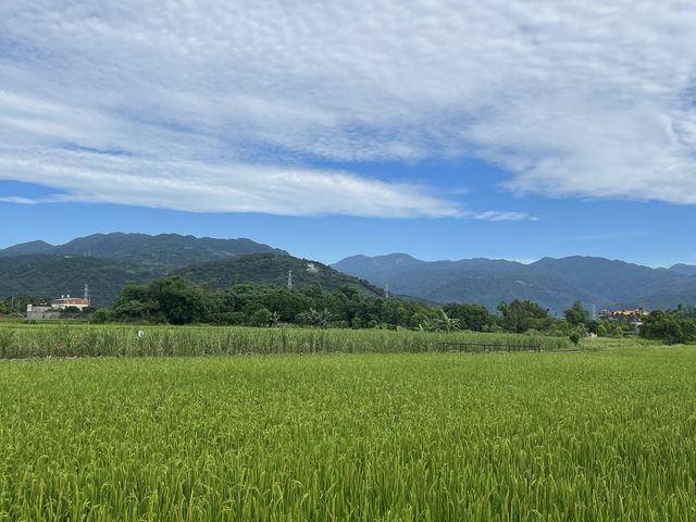 宜蘭員山北后寺｜清幽日式禪院造景怎麼拍都好看，旁邊還有美麗的的稻田景色