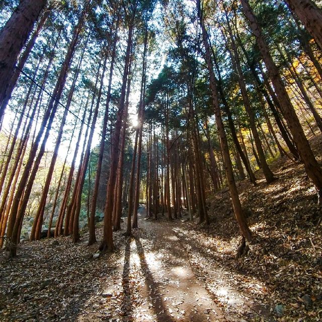 전주 모악산 등산 