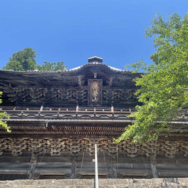 紫陽花が素敵なお寺