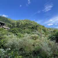清幽小山上之民宿