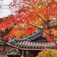 Autumn Foliage at Gilsang Temple
