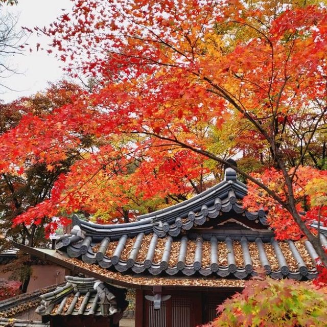 Autumn Foliage at Gilsang Temple
