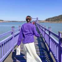 온세상이 보라보라해 💜 신안 핫플 “퍼플섬”🏝️