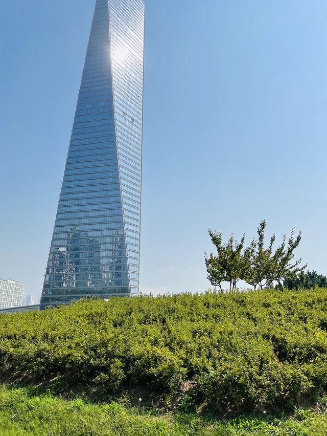 해바라기가 만개한 인천 송도센트럴파크🌻