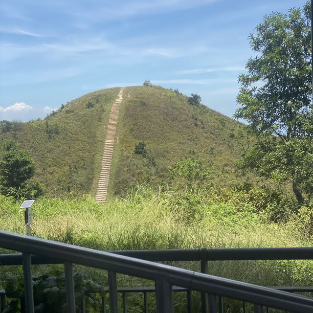東涌昂坪360
