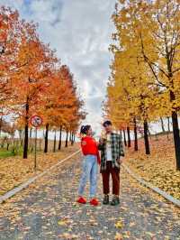 경남 거창 도시숲죽전공원, 분설담은 단풍놀이 숨겨진 명소🍂🍁