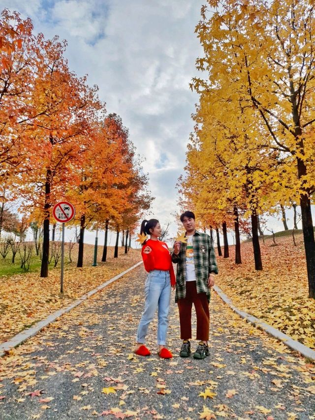 경남 거창 도시숲죽전공원, 분설담은 단풍놀이 숨겨진 명소🍂🍁
