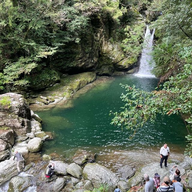 高知県　にこ淵