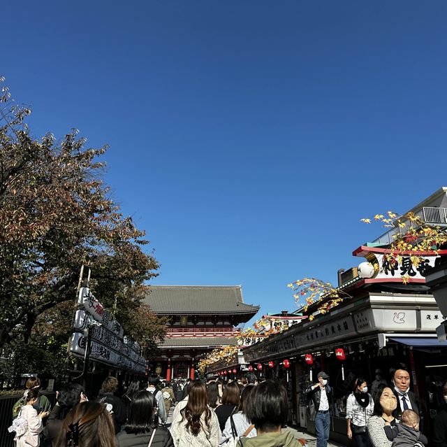 도쿄에서 가장 오래된 절, 센소지 투어⛩️