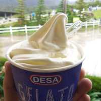 DESA DAIRY FARM, KUNDASANG😍