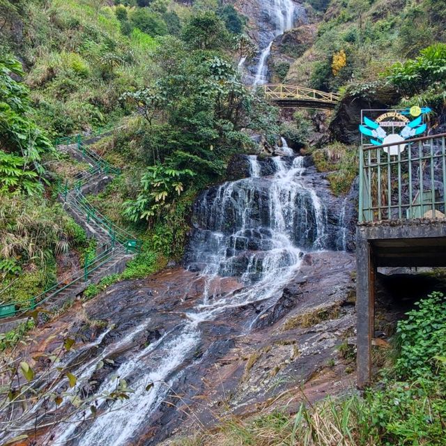 Majestic Waterfall