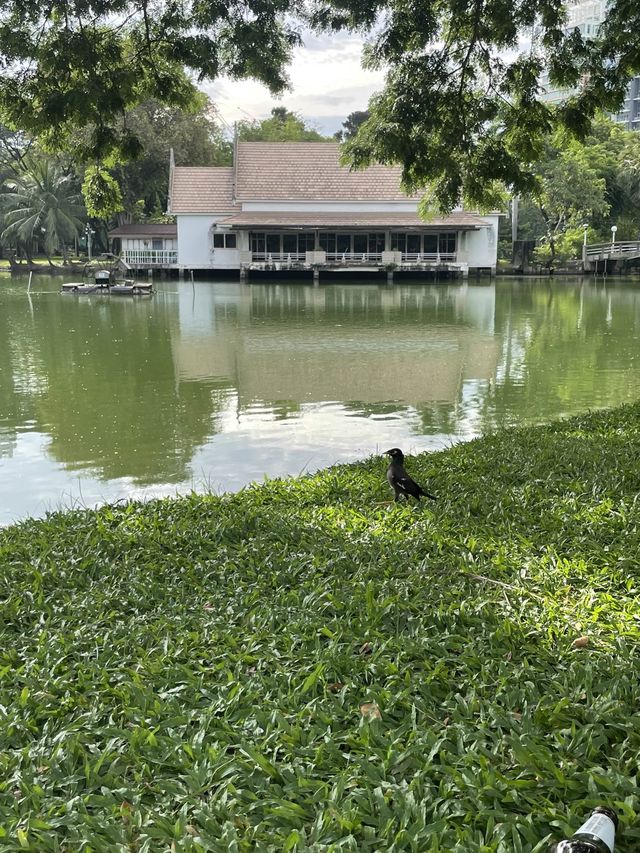 방콕여행 호주같은 룸피니공원🌳🌴