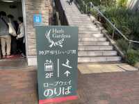 古城のクリスマス開催中🎅ロープウェイで絶景を🫶