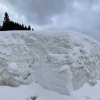 【新潟県】雪景色を楽しむ素敵なカフェへ