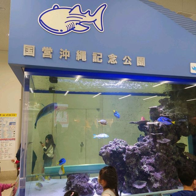 那覇空港