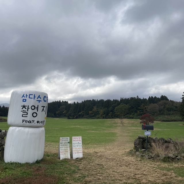 아침미소목장