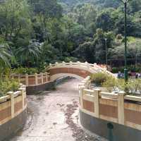 香港仔郊野公園~行山 / BBQ 好去處！