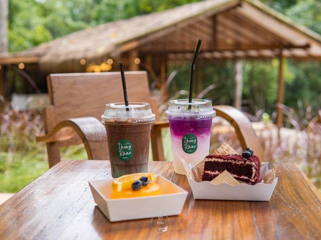 ‘หลงเขา’ คาเฟ่ริมธารน้ำท่ามกลางหุบเขา 