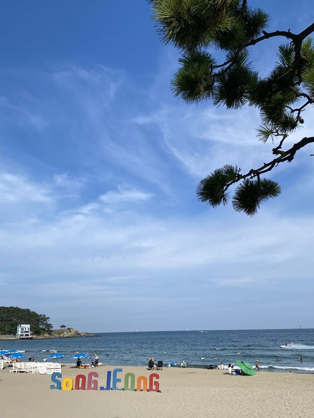 서핑은 부산 송정해수욕장에서