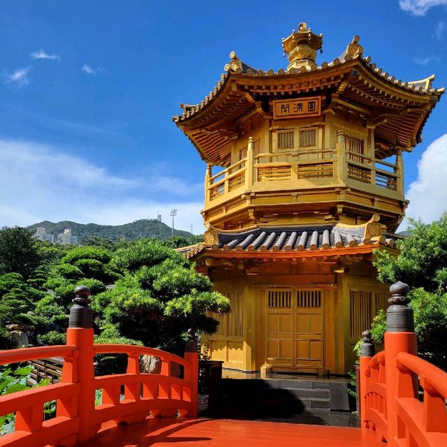 南蓮園池 市區中的淨土