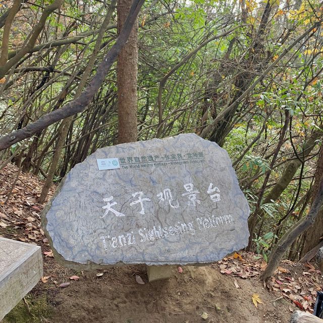 [장가계] 원가계와는 다른 느낌! 천자산