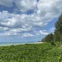 หาดบางสัก ถ้าจะพักก็มานะ