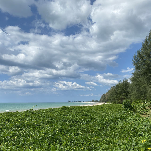 หาดบางสัก ถ้าจะพักก็มานะ