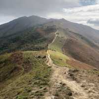 冬天必備行山路線💪🏻雞公嶺