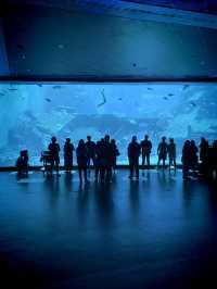 SEA AQUARIUM, SENTOSA, SINGAPORE