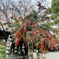萬行寺(福岡•博多)